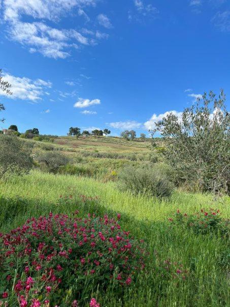 Casa Country Villa Agrigento Eksteriør billede