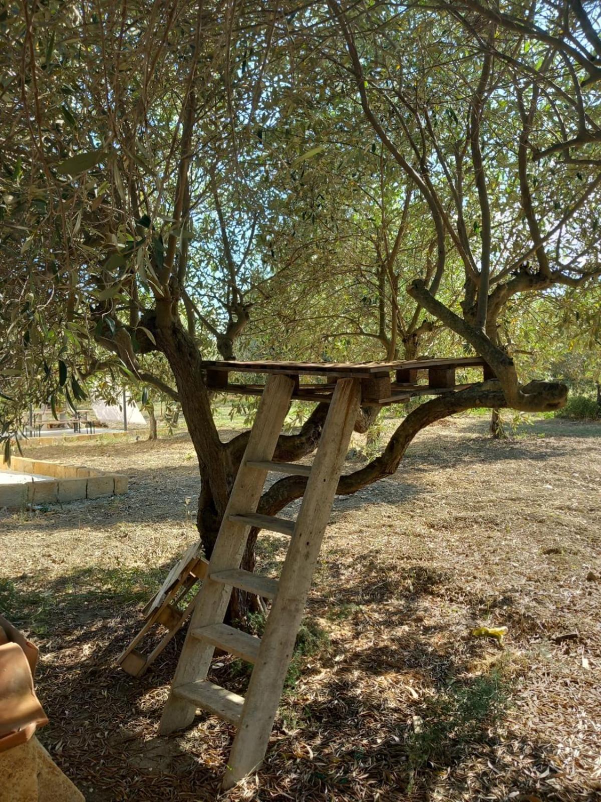 Casa Country Villa Agrigento Eksteriør billede
