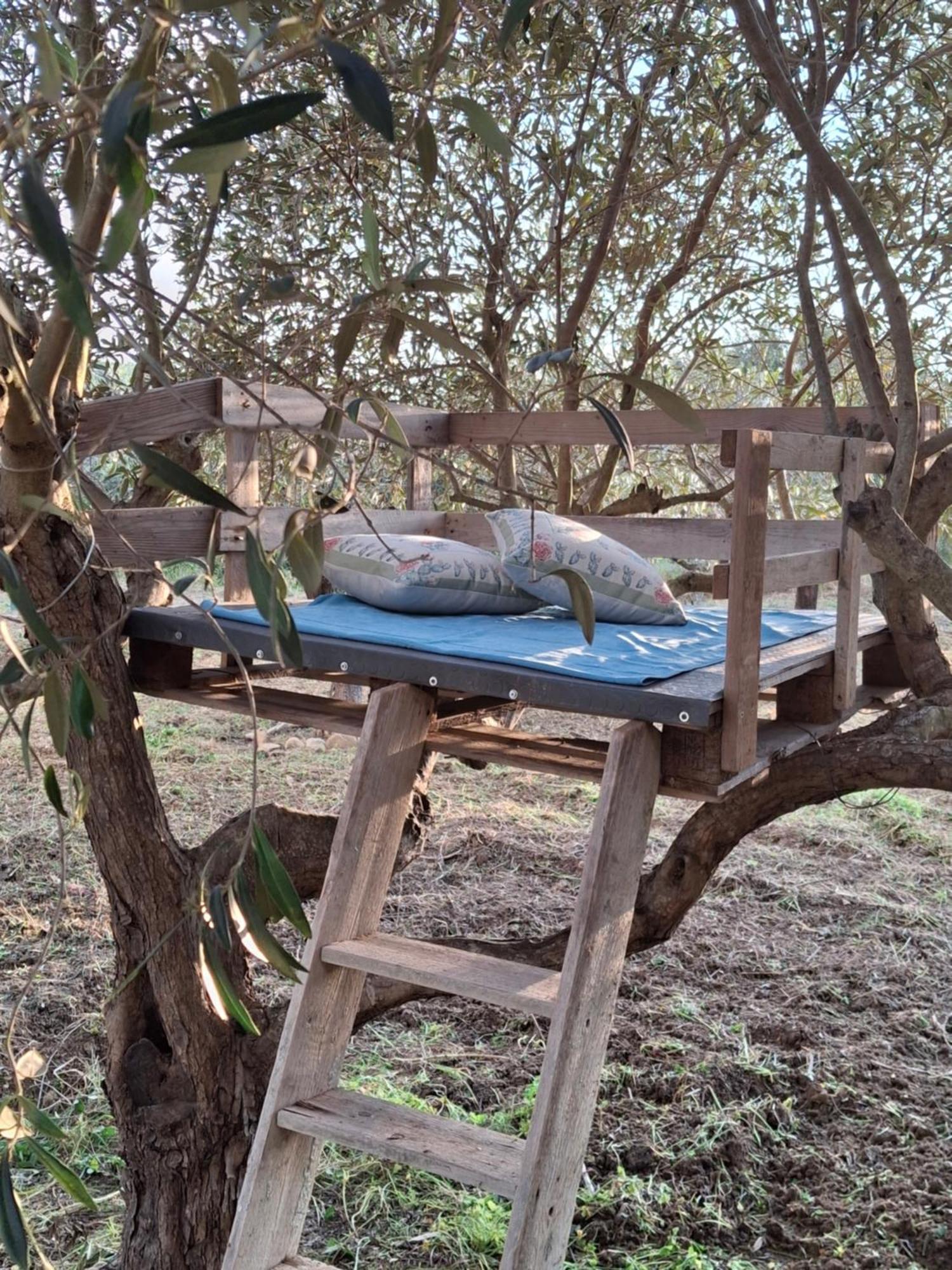 Casa Country Villa Agrigento Eksteriør billede
